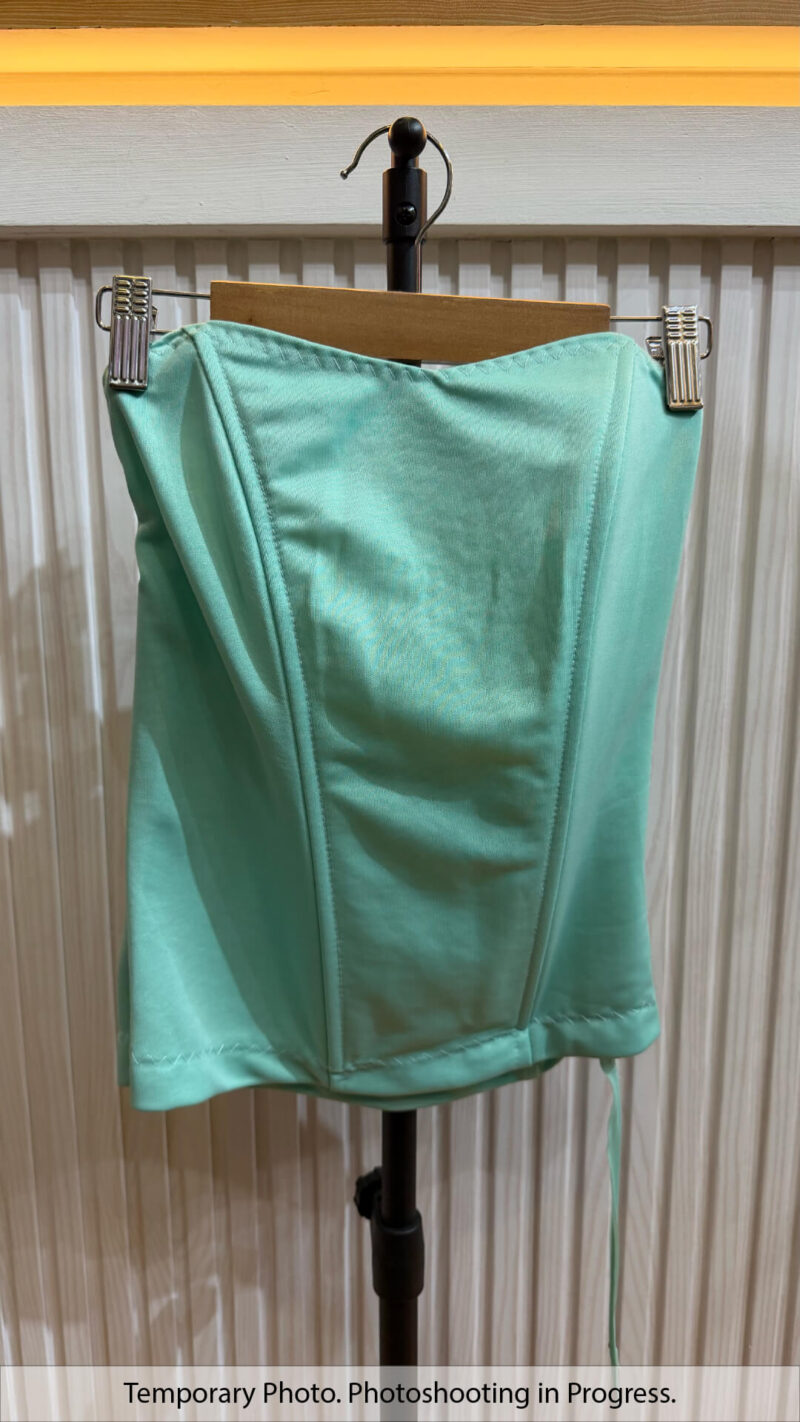 Eshal Basic Boned Corset in Aquamarine